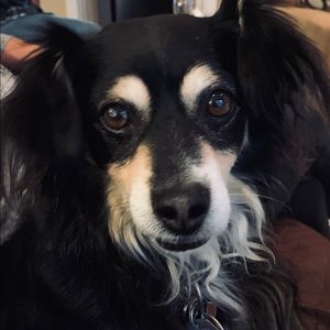 Meet your Posher, Patricia